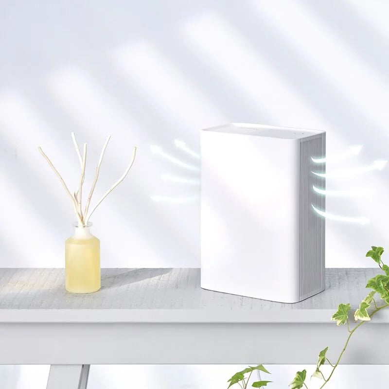 ARTISAN｜電子式清淨除濕機 DH6500
