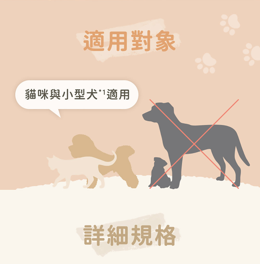 Panasonic國際牌 ｜台灣製寵物智能複合式攝影飲水餵食機 CP-JNF04-W